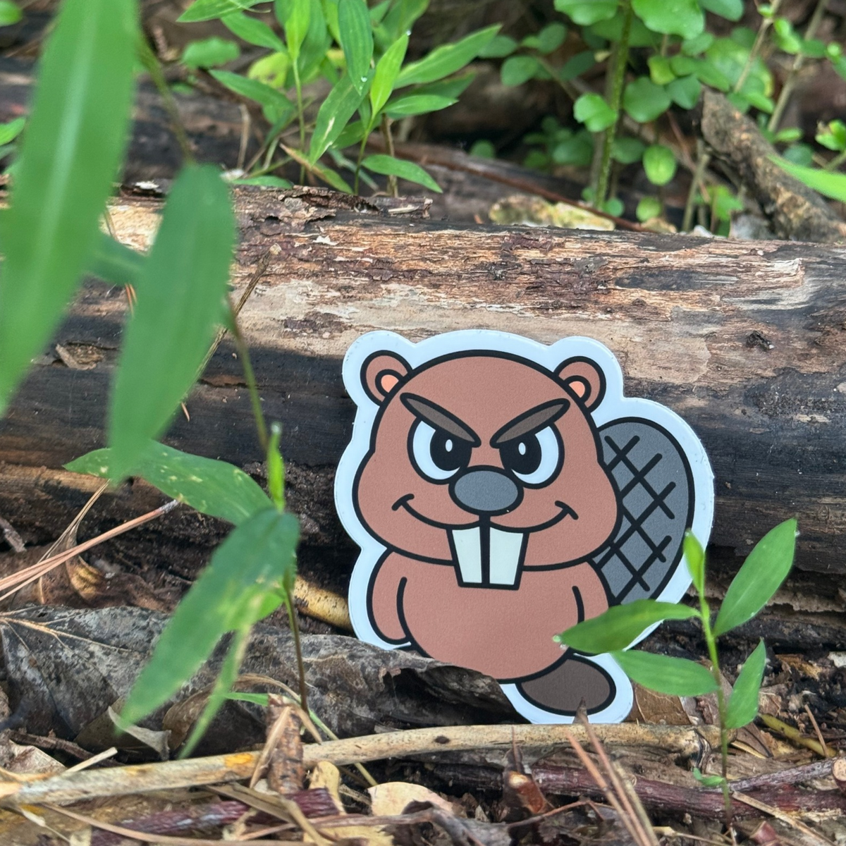 Dammy Vinyl Sticker